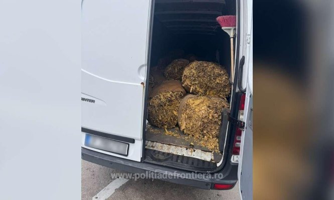 O tonă de tutun vrac, descoperită într-un microbuz oprit de polițiștii de frontieră la Giurgiu