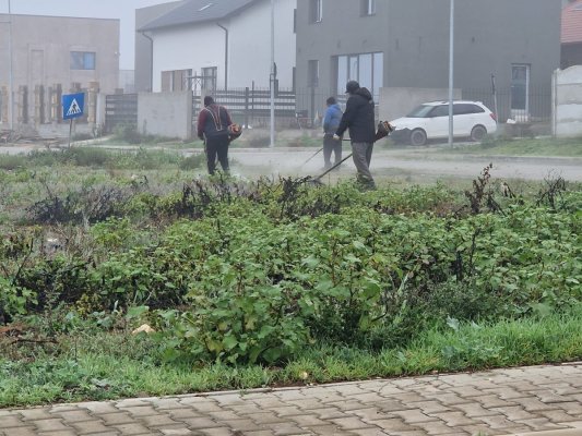 Gospodăria Comunală Valu lui Traian menține curățenia în comună