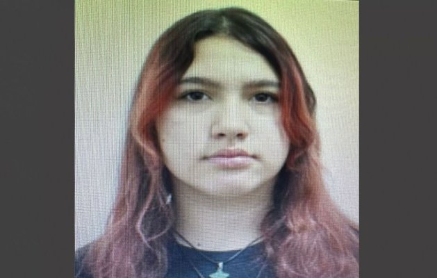 Minoră de 16 ani din Valu lui Traian, dată dispărută – polițiștii cer ajutorul populației