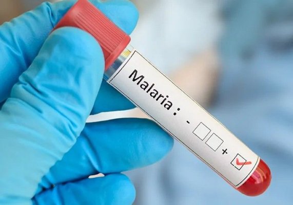 Decesele provocate de malarie au crescut în 2024, potrivit OMS