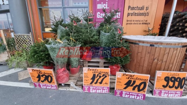 Cât mai costă anul acesta tradiționalul brad de Crăciun. Video