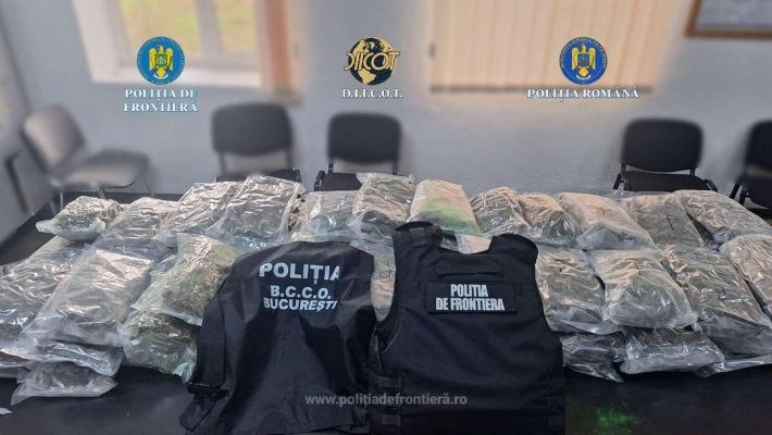 Cetățean turc depistat de polițiștii de frontiera cu 37 de kilograme de canabis ascunse într-o semiremorcă încărcată cu arbuști ornamentali