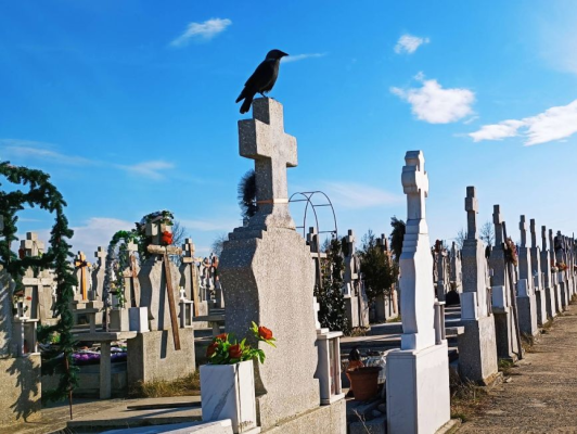 Locurile de veci intră într-o zonă... moartă: Statul deschide poarta concesionărilor fără licitație