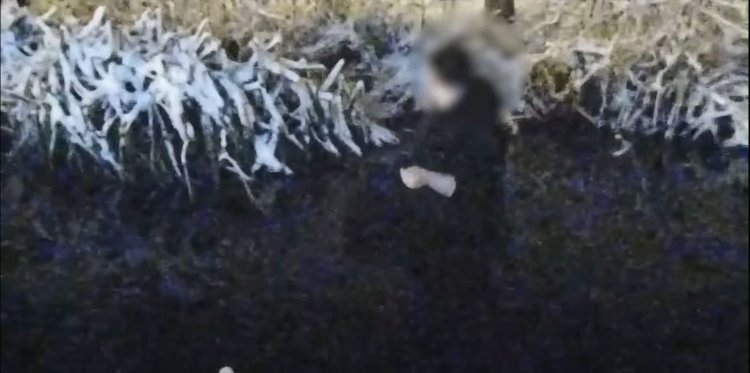 Un bărbat a căzut într-un lac, încercând să scape de o haită de câini. Video