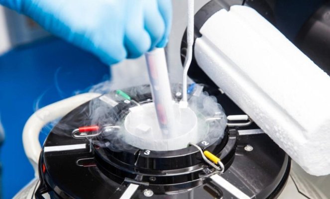 Caz șocant în Europa: un donator cu mutație genetică gravă, tată pentru aproape 200 de copii