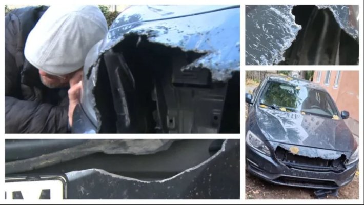 Haita de coșmar din Arad: Câinii maidanezi au 