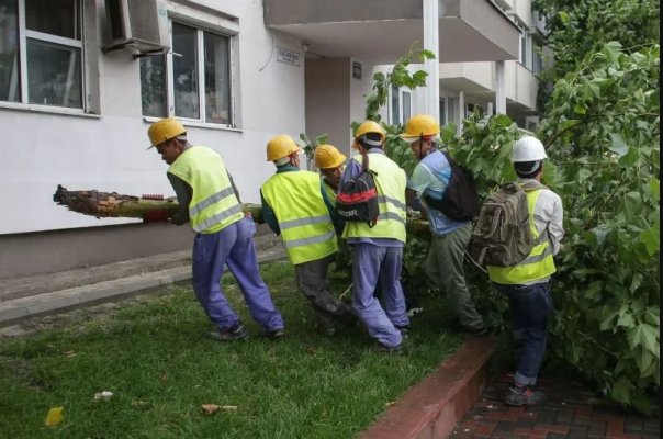 Guvernul este acuzat că vrea să instaureze, prin OUG, monopol pe piața muncitorilor străini