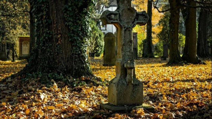 Controverse în Olanda după ce SUA a îndepărtat panouri dedicate soldaților de culoare din Al Doilea Război Mondial