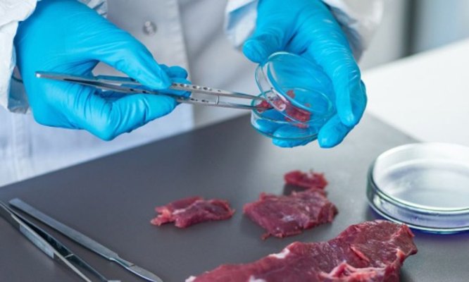 Testarea cărnii de porc, obligatorie pentru un Crăciun fără riscuri