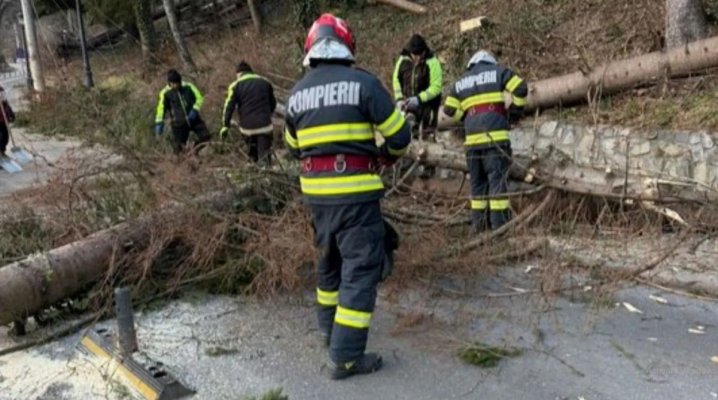 Furtuna provoacă noi probleme pe Valea Prahovei: copaci doborâți de vânt, instalații de transport pe cablu oprite. Video