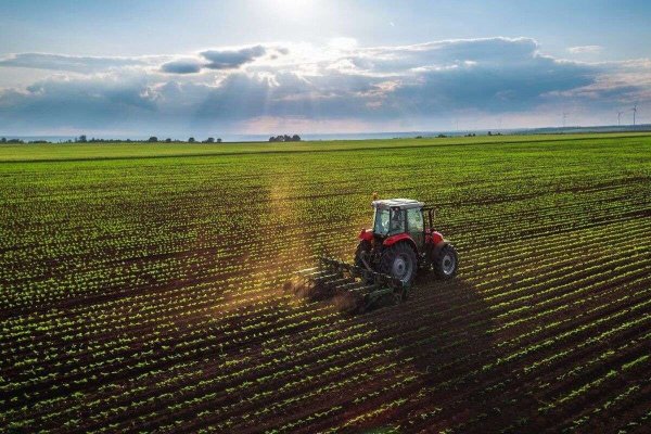 Agricultura românească, încotro: O regiune din Spania produce valoric mai mult decât toate regiunile românești