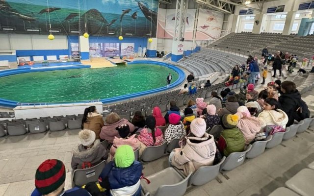 Delfinariu Constanța: 32 de copii din Pantelimon în vizită la Complexul Muzeal de Științe ale Naturii