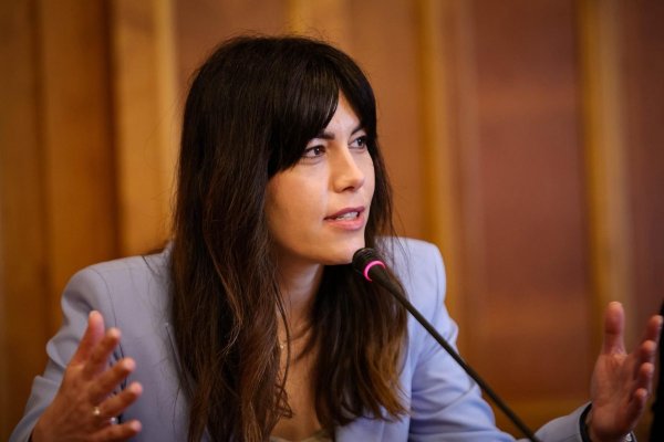 Cât de realist este planul de reformă al deputatei Cristina Prună pentru companiile de stat falimentare