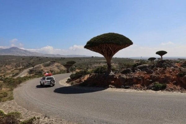O româncă a rămas blocată pe o insulă izolată din Yemen. Situația este incertă pentru sute de turiști