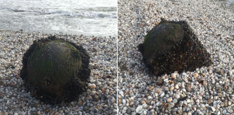 Alertă la Marea Neagră. O mină a fost găsită pe plaja de la Midia. Video