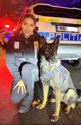 Tessa, câinele polițist, alături de polițiștii din Medgidia în acțiune pentru siguranța publică