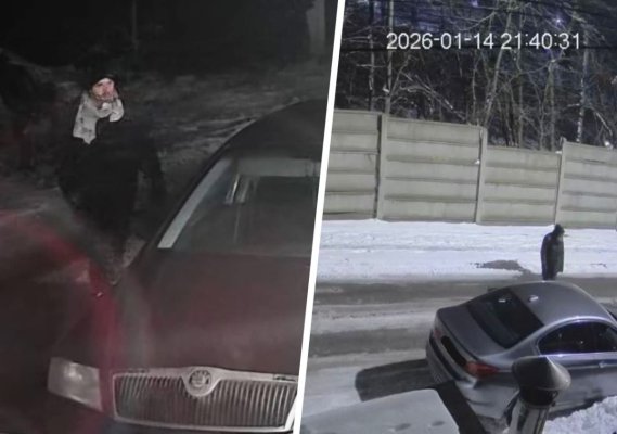 Atenție! Se fură ca-n codru... mașinile parcate în Valu lui Traian și Murfatlar. Video