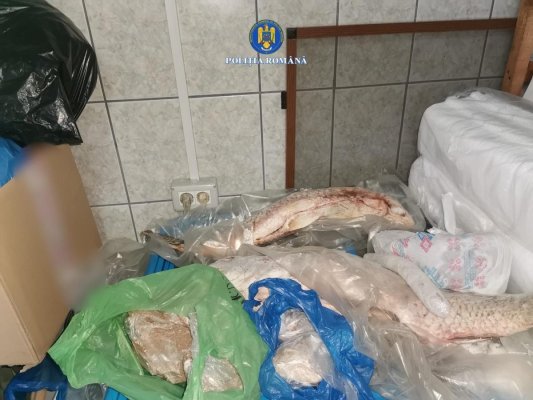 Doi braconieri au fost prinși în Costinești cu cantități mari de calcan