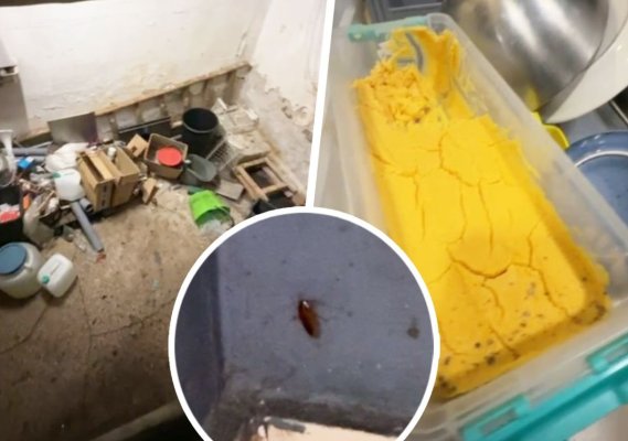Mizerie de nedescris și gândaci în bucătărie, la restaurantul Souvlaki Bar. A fost închis de inspectorii OPC. Video
