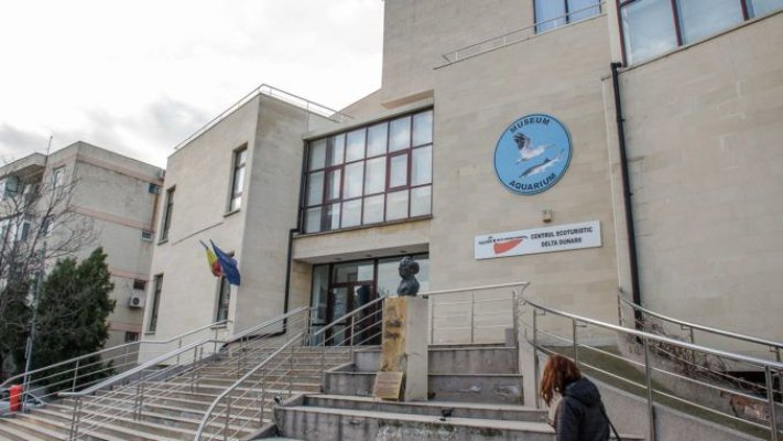 Numărul contractelor ICEM de cercetare arheologică preventivă s-a triplat anul trecut