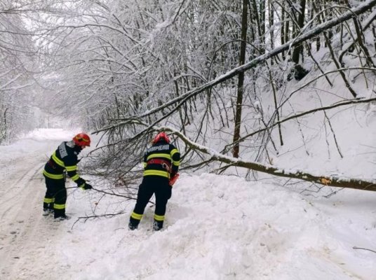 Acțiuni ale pompierilor în ultimele 24 de ore