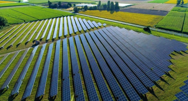 Afacerile fantomă din domeniul energiei care au blocat investițiile reale... scoase la mezat! Video 