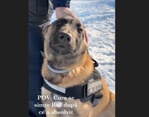 Jandarmeria Română anunță un nou membru, după moartea lui Șuier. Video