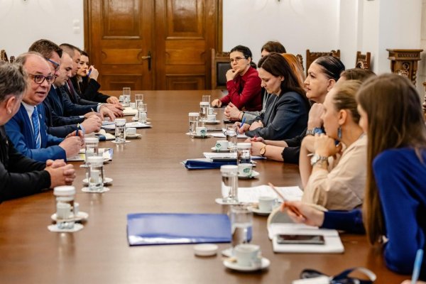Ororile de la Suraia, parte a unei afaceri de 9 milioane de euro din bani publici, pentru uciderea a zeci de mii de câini