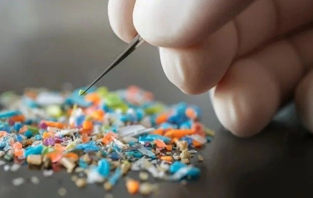 Nanoplasticele ajung la rinichi. Ce arată cele mai recente cercetări
