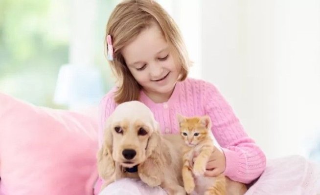 „Ora cu și pentru animale“ devine oficial materie națională opțională. Elevii vor învăța ce este responsabilitatea față de necuvântătoare