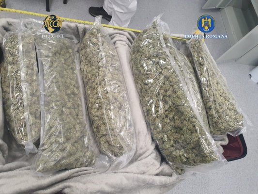 Două persoane sunt cercetate pentru trafic de droguri de mare risc