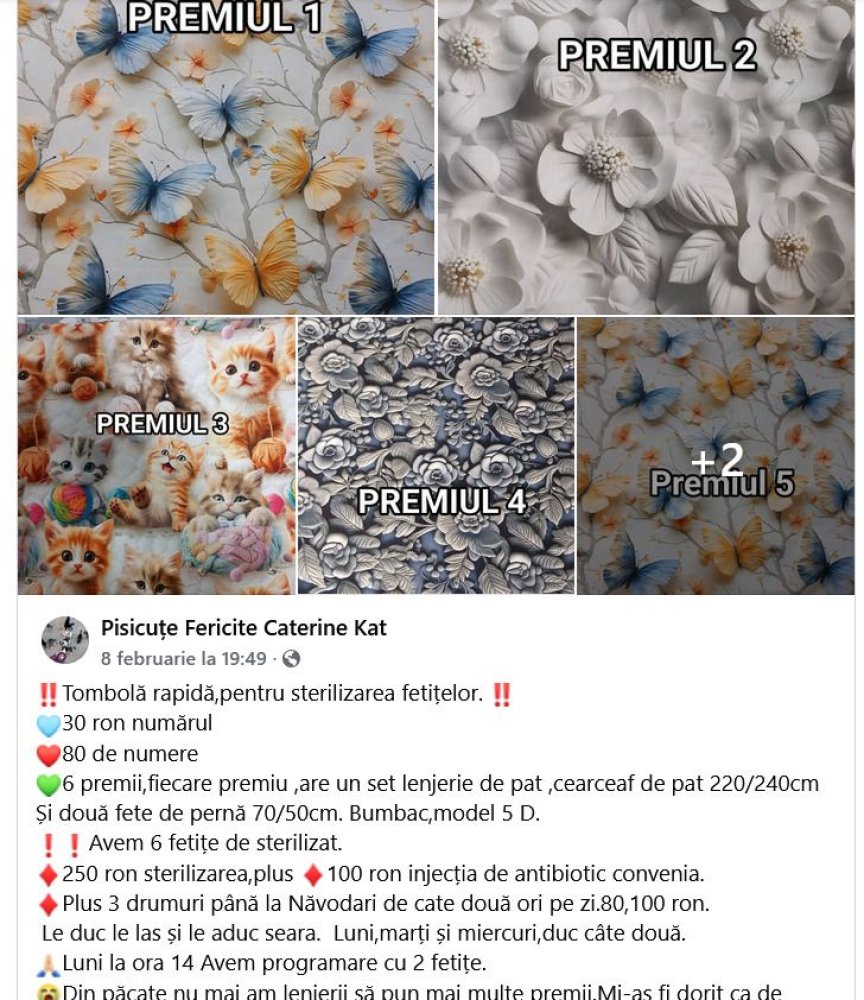 Tombole cu cantec. Cum a castigat un barbat 10.000 de lei pe internet! Tombole cu cantec. Cum a castigat un barbat 10.000 de lei pe internet!