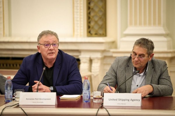 Romanian Ports Development, voce fermă pentru viitorul Portului Constanța, la dezbaterea din Parlament