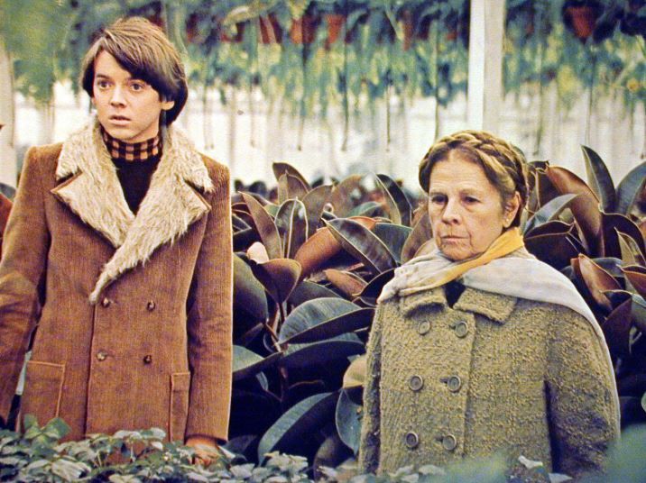 A murit Bud Cort, protagonistul celebrului film &bdquo;Harold si Maude&rdquo;. Actorul avea 77 de ani