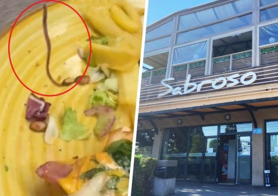 Vierme mișcător în farfuria unui client, la restaurantul Sabroso de pe I.C. Brătianu. Video
