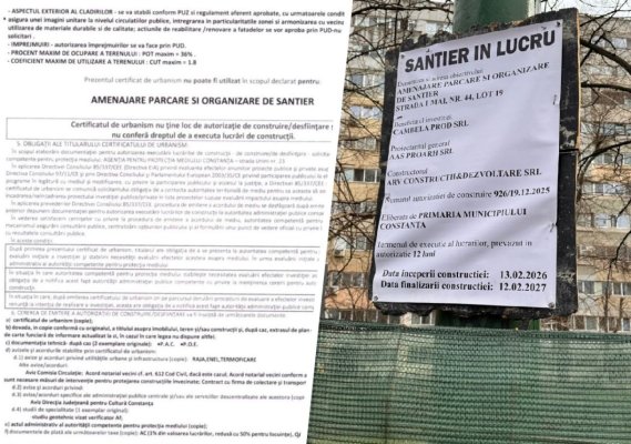 Ce zice Primăria Constanța despre tăierea arborilor din zona Abator!