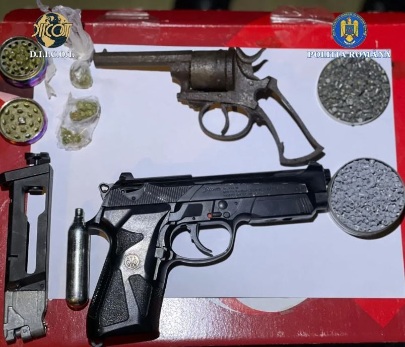 Descinderi in Timis, in ancheta crimei de la Cenei. Au fost descoperite cantitati mari de canabis si cristal