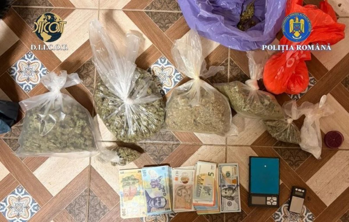 Descinderi in Timis, in ancheta crimei de la Cenei. Au fost descoperite cantitati mari de canabis si cristal