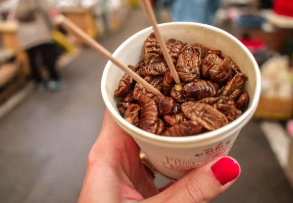 Ai schimba carnea cu insecte? De ce atât de mulți oameni consideră dezgustător consumul lor