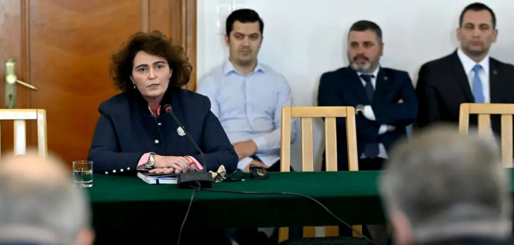 Numele judecătoarei CCR Laura Iuliana Scântei a fost folosit într-o fraudă, de mafia din Ucraina