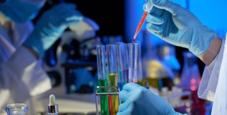 Un nou pas în lupta împotriva cancerului: Cercetătorii dezvoltă o terapie care elimină tumorile fără a afecta țesutul sănătos