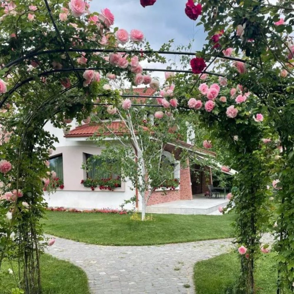 Cum arata vila de lux a Mirelei Vaida din Snagov. Are teren de baschet si o piscina uriasa