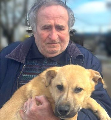 Primăria Municipiului Constanța continuă campania „Adoptă un cățel!„