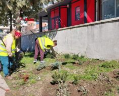 Echipele Confort Urban au început curățenia de primăvară, pe străzile din Constanța