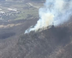 Incendii de vegetație în Satu Mare și Maramureș. Video