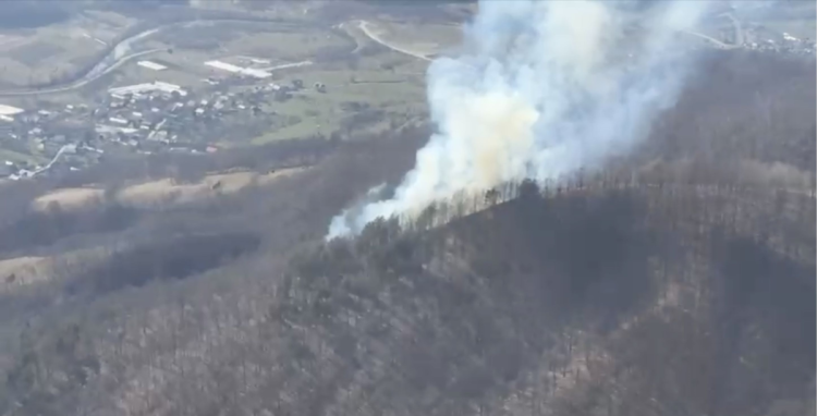 Incendii de vegetație în Satu Mare și Maramureș. Video