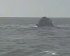 Midia Marine Terminal anunţă că a realizat o imagine de ansamblu a poziţiei epavei remorcherului Astana, scufundat în Portul Midia