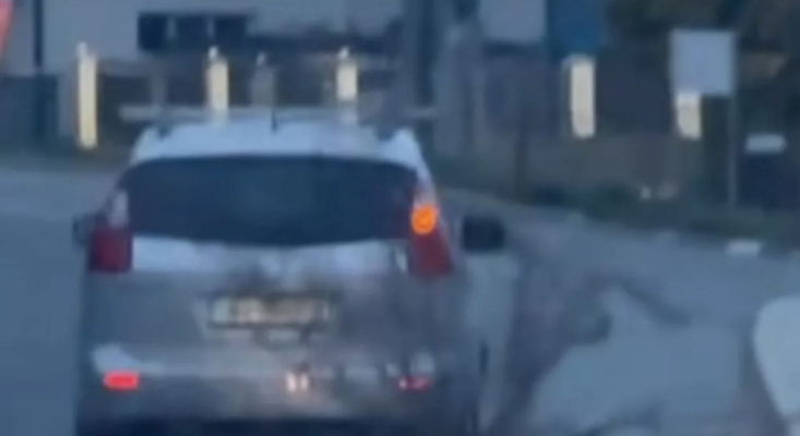 Imagini șocante în Bistrița: un șofer a târât un trunchi uriaș pe stradă, punând vieți în pericol. Video