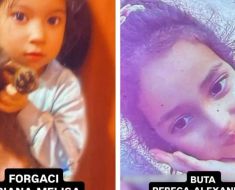 Momente de groază! Două fetițe de 4 și 5 ani au dispărut fără urmă din curtea unei case din Mureș