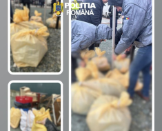 Acțiune a polițiștilor constănțeni, pentru respectarea normelor sanitar-veterinare 